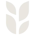 Grain